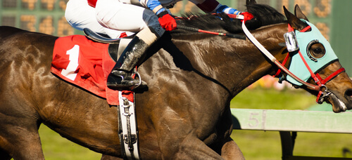 image of sports betting on horses